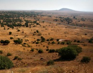 golan-heights-wind-farm-project golan heights wind farm project11 New 20mW Wind Power Project in Israel for Small Investors