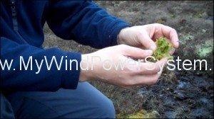 _47528881_peatbog_clifton_moss 47528881 peatbog clifton moss 300x1681 Wind Farms and Peatland.