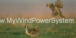Prairie Chickens Safer Near Wind Farms Post Post Image Prairie Chickens Safer Near Wind Farms