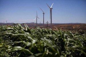 Brazil: Blessed with Green Resources Post Post Image Brazil: Blessed with Green Resources