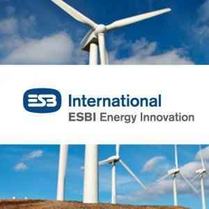 esbienergy 300x3001 image esbienergy 300x3001 Southern Ireland Wind News