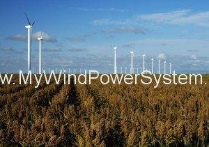 US Wind farm america wind power 17812 300x2111 United States Winning Wind War vs Carbon Emissions