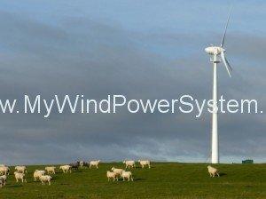 Wind Turbine in field of sheep 01 300x2241 Farmers for Wind