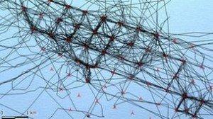 UK Wind Turbine Record Seals Loving It! Post Post Image UK Wind Turbine Record Seals Loving It!