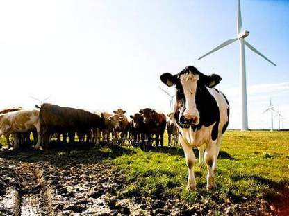 Land To Lease Wanted In Northern Ireland Wind Farms WANTED Category - Image Land To Lease Wanted In Northern Ireland Product Image