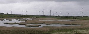 Ballywater Wind Farm 300x1161 Wind Power Development in Northern Ireland