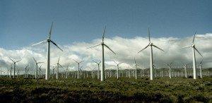 Green Google wind farm11 300x1461