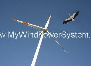 EarthTalkWindPowerBirds 300x2181 Wind Turbines and Bird Deaths in the United States.