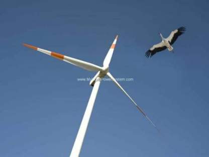 Windpower – Cheapest Energy Source In The UK Earth Talk Wind Power Birds