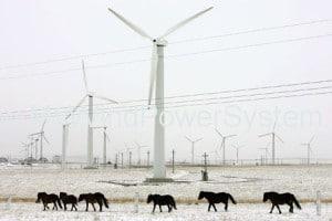 U363P886T1D1732F12DT201108181258062 300x2001 Significant Wind and Solar Power Growth seen in 2012