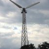 VESTAS V17 Used Wind Turbine for Sale – Available 1kW - 150kW Offered Category 6 VESTAS V17 Used Wind Turbine for Sale – Available 1kW - 150kW offered - sold Product 6
