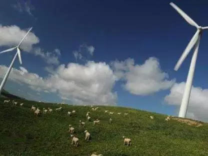 UK Farmers Should Farm the Wind and the Sun Sheep-graze-under-wind-turbine
