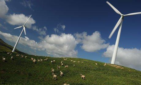 Sheep-graze-under-wind-turbine