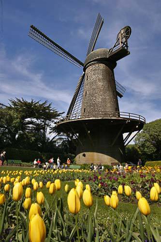 dutch wind mills 3 WIND TURBINE DESIGNS   The Most Amazing Windmills In The World