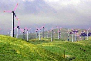 purpleturbines ed01 300x2011 Wind Power and Wildlife Can Co Exist