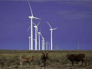 Penascal-Wind-Farm-Kennedt-ounty-Texas1.jpg