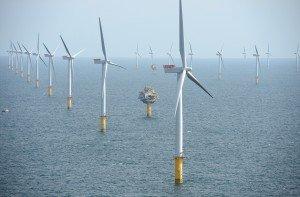 Sheringham Shoal Wind Farm 2012 300x1971 UK Wind Turbine Record   Seals Loving It!