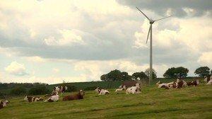 wind turbine in English field 300x1681 One Turbine   One Field And A Lot Of Bother