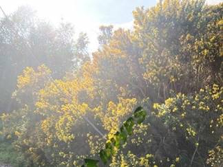 PROVEN CP35 2 12kW Used Wind Turbine Sale visual PROVEN CP35 2 12kW Used Wind Turbine Sale Proven 15kW derated 12kW tilt tool 324x243