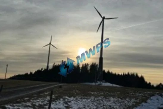 Two Fuhrländer FL 1000/54 Sale