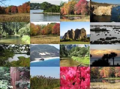 alternative-energy-nature alternative energy nature2 Alternative Energy The Facts An Introduction Into Renewable Energy