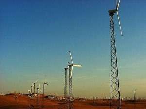 Altamont Pass Altamont Pass 300x2241 The Green Dilemma: Bird casualties from wind turbines