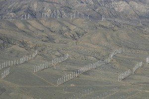 California Wind Farm California Wind Farm 300x1991 The Green Dilemma: Bird casualties from wind turbines