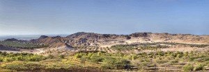 Sir Bani Yes Island 2 Sir Bani Yes Island 2 300x1041 Sir Bani Yas Island Abu Dhabi Middle East Report
