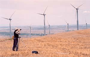 Paul Gipe 4 Paul Gipe 41 Paul Gipe – PLAYERS IN WIND