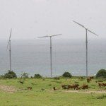 Windfarm in Carribeans Windfarm in Carribeans1 First Large Scale Wind Farms for Dominican Republic Wind Turbines supplied by Vestas