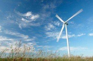 Vestas Wind Park Vestas Wind Park 300x1991 North Sea Focus (1):Vestas Turbines for Dutch in North Sea