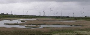 Ballywater Wind Farm Ballywater Wind Farm 300x1161 Wind Power Development in Northern Ireland