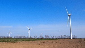 1 11 300x1701 David Cameron Defends UK Windfarm Plans to Tory MPs