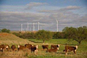 red-hills-wind-farm red hills wind farm 300x2001 Spotlight on Romania