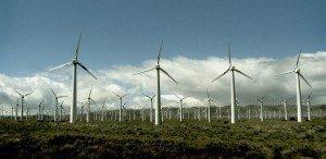 wind-farm11 wind farm11 300x1461 Green Google