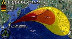 fukushima radiation nuclear fa 300x1661 image fukushima radiation nuclear fa 300x1661 Compensation for Bird Deaths: The Hypocrisy