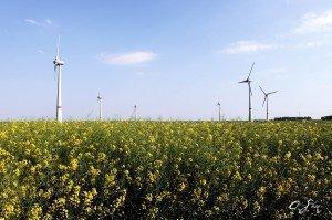 wind turbine 300x1991 image wind turbine 300x1991 Wind Turbine Noise: New Reports