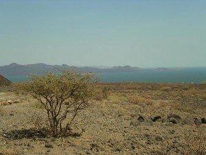 Lake Turkana Kenya site of new wind farm 20090121 lake turkana 300x2251 Massive Wind Farm for Kenya