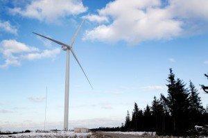 Vestas 164 8.0 MW 300x1991 image Vestas 164 8.0 MW 300x1991 Nordex and Vestas News
