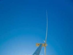 VESTAS V66 Windkraftanlagen gesucht Produkt