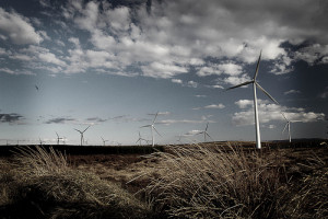 Europes Biggest Wind Farm Opens in Scotland – 140 Wind Turbines