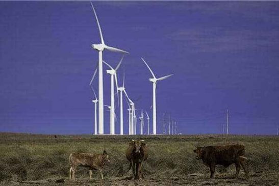 New Wind Power Projects Approved for Scotland Penascal Wind Farm Kennedt ounty Texas e1763791285297 New Wind Power Projects Approved for Scotland