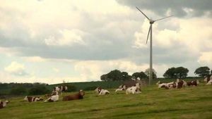 One Turbine, one Field in England, and a Whole Lot of Bother