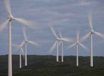 The Calming Effects of Wind Turbines
