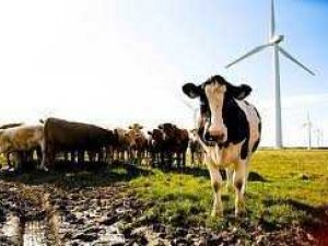 WIND FARM or SOLAR FARM Land for Sale – India WIND FARM or SOLAR FARM Land for Sale – India